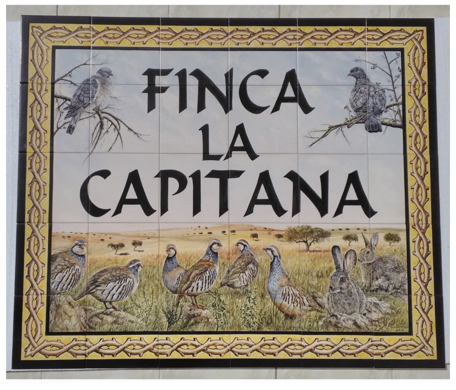 fincas