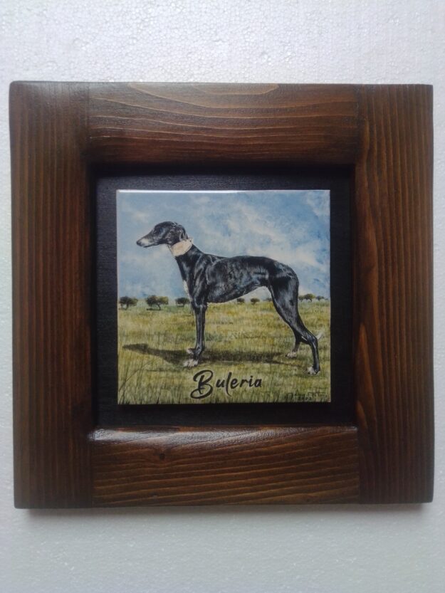 HD026 (≈ 26x26 cm) - Spanish Greyhound