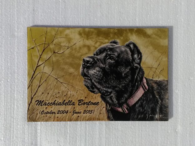 HD029 (20x30 cm) - French Bulldog