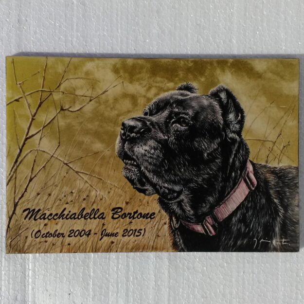 HD029 (20×30 cm) – French Bulldog